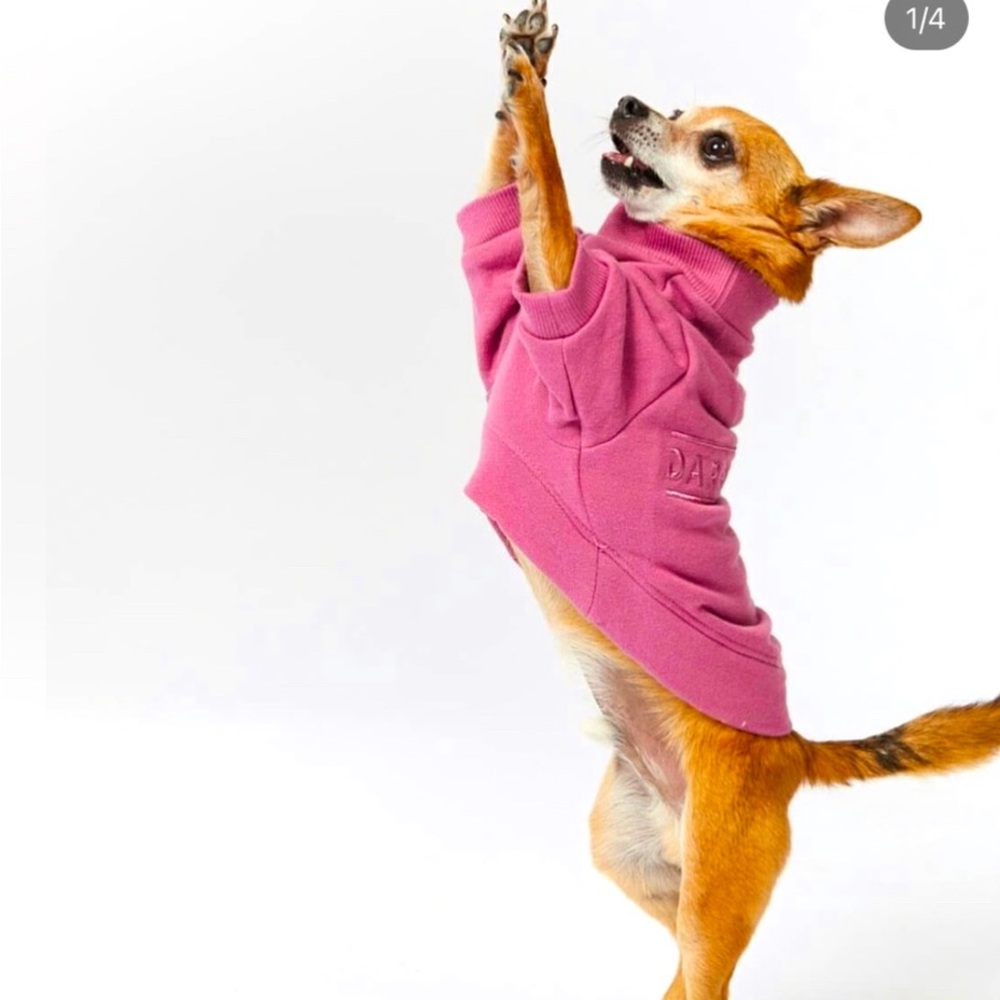 Darren & Phillip Dog Sweatshirt, Rosy Pink Size XXS 
From their BFF Collection